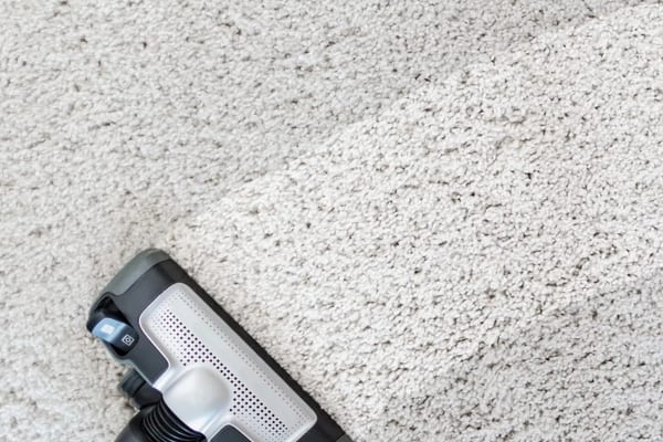 Wall-to-Wall Carpet Cleaning