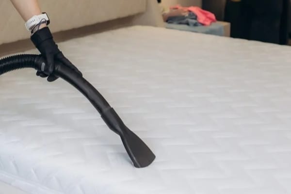 Mattress & Bed Cleaning